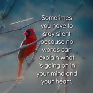 Meet your Posher, Deb